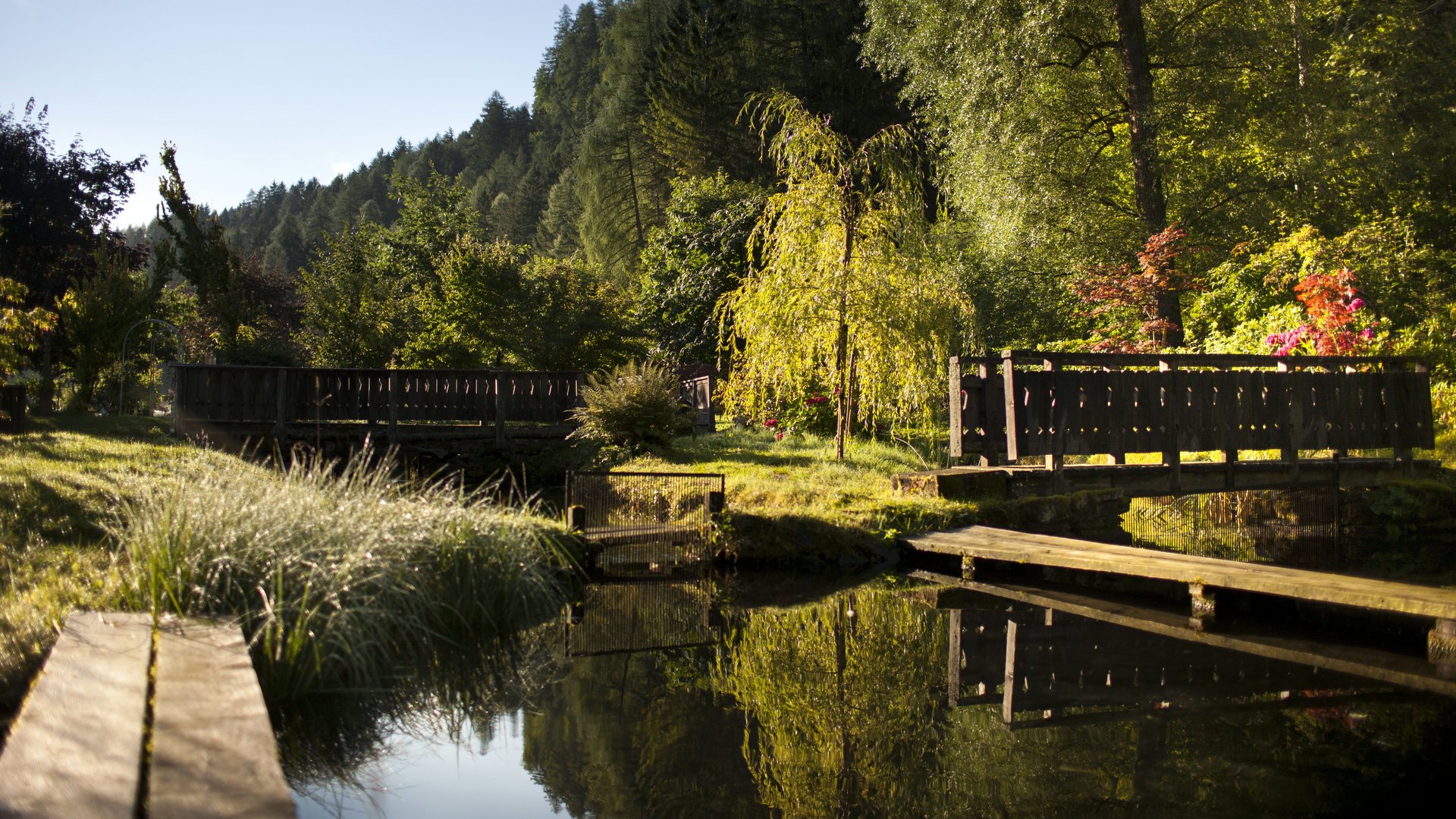 Malerische Gartenbrücke Holzbrücke über ruhigem Teich, umgeben von üppigem Grün unter blauem Himmel.