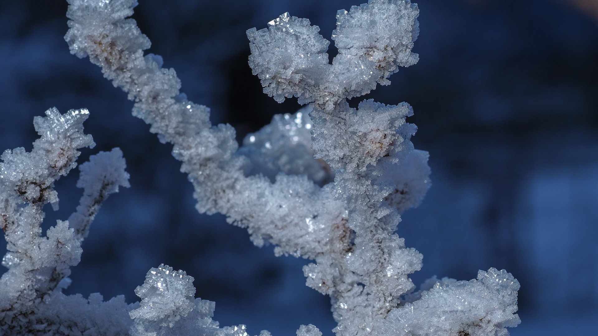 Nahaufnahme von funkelnden Eiskristallen auf einem Ast bei blauer Winterkulisse.