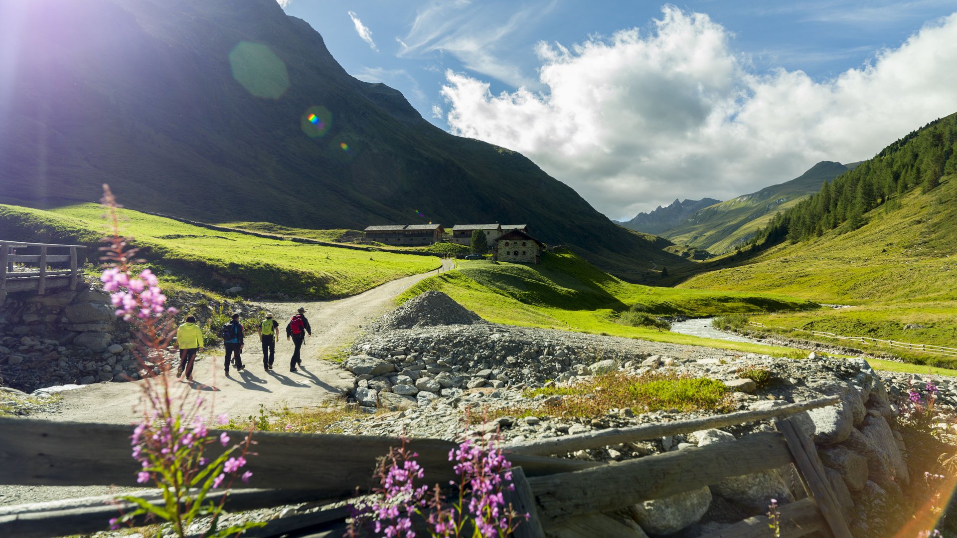 Hikers enjoy sunny mountain trails with blooming flowers and breathtaking views.